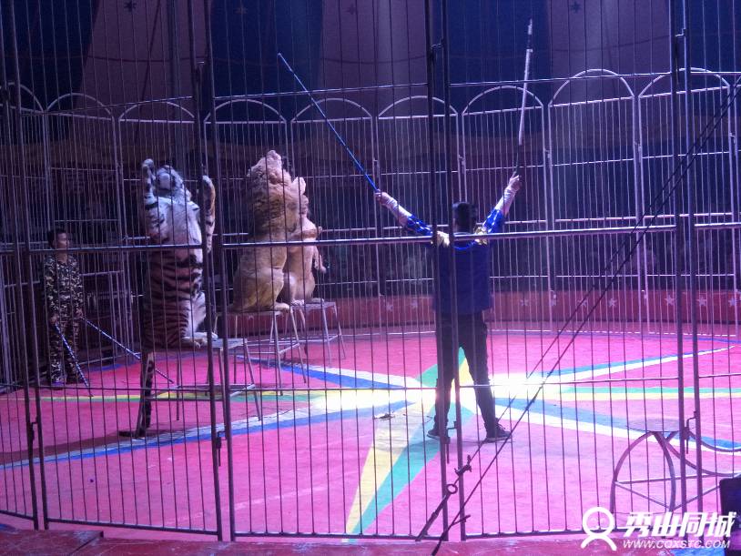 IMG20180110201115.jpg
