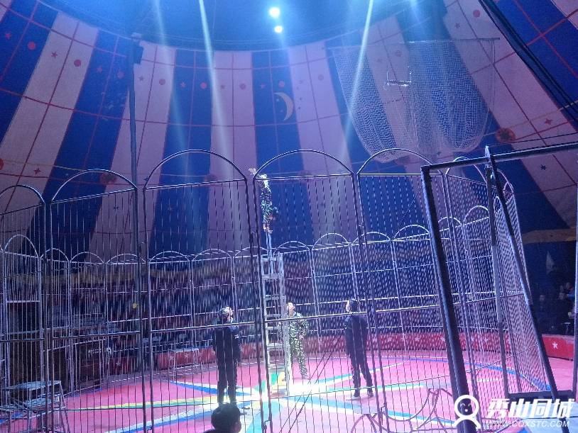 IMG20180110200738.jpg